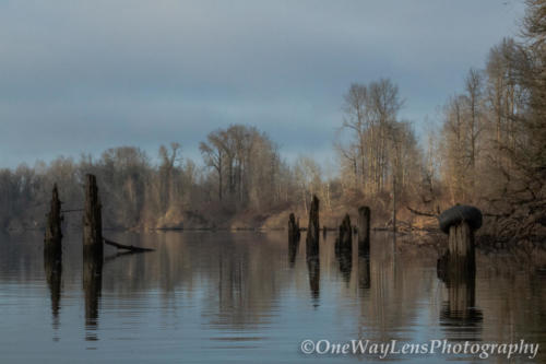 _MG_4783-2