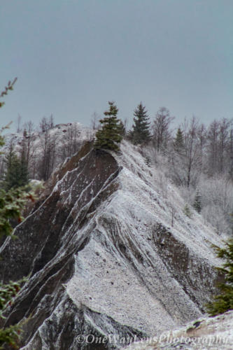 On the tip of the peak, the tree