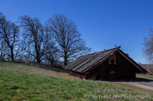 _MG_6145
